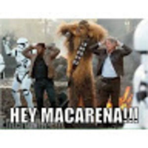 Meet your Posher, Rowan